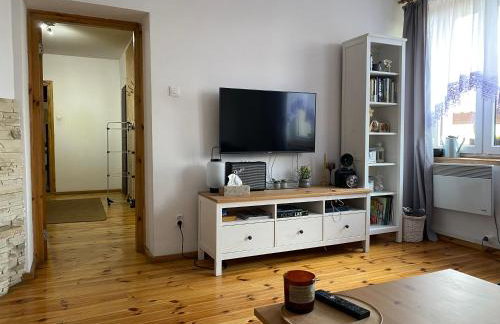 Apartament Hajstra z ogrodem - Foto 7