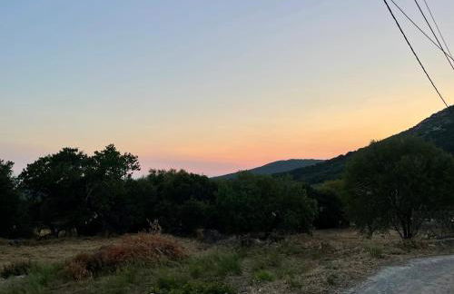 Gamvrias chalet - Foto 42