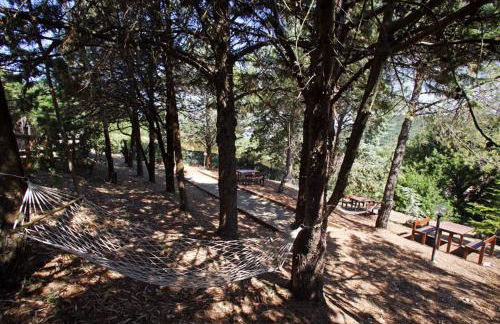 Villa Ginestra a "Casa Conti di Sotto" - Foto 45