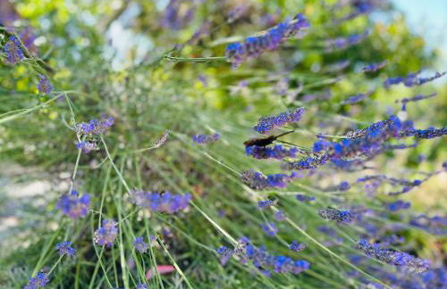 La Floraison - 2 personnes - Foto 9