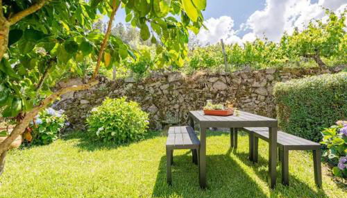 Casa do Limoeiro 2 - Foto 2, Garden