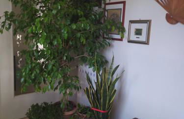 Casa vacanza "A Castelfranco d'Oglio" - Foto 4