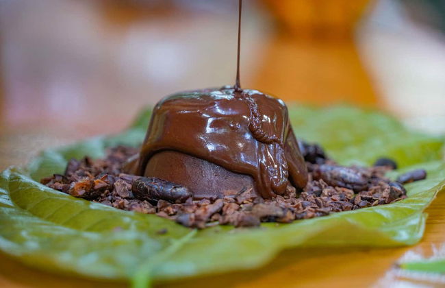 Costa Rican Coffee & Chocolate Tour - Foto 7