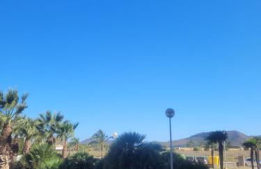 Palmerita 5 - Foto 26