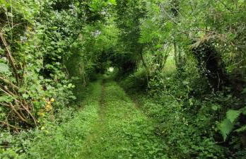 Vivienda Vacacional Ángel Inguanzo - Foto 62