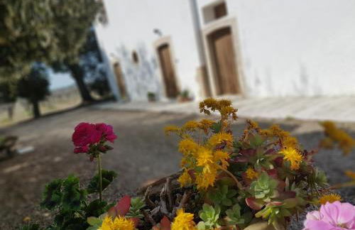 Agriturismo Masseria Mascitelli - Foto 40