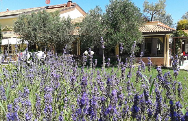 Fattoria Belvedere - Photo 37