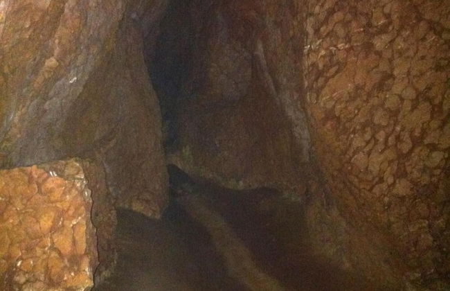 Locanda Alla Stella - Foto 19