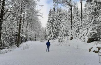 Haus Am Waldesrand - Foto 34