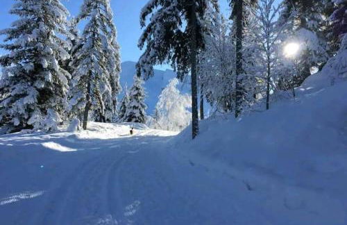 La cabane d'en haut - Foto 22