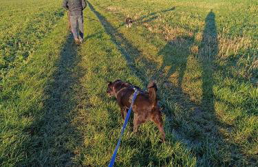 Dorfliebe Reicherstein - Foto 31