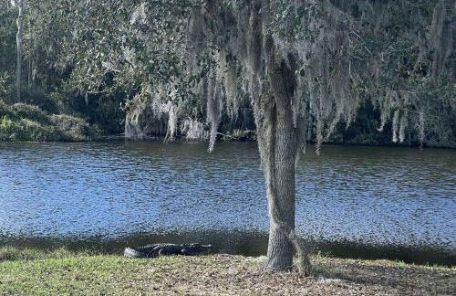 Serene Hideaway - Foto 46