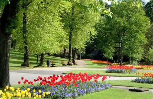 Superb 2 bedroom town apartment, quiet location - Photo 5