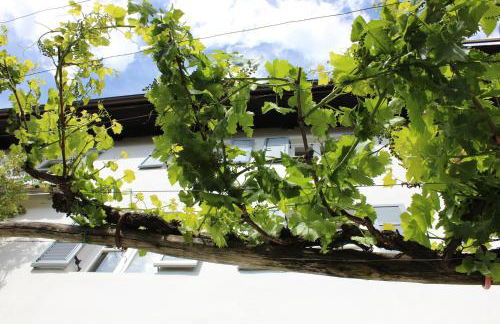 Weingut Pardellerhof - Foto 27