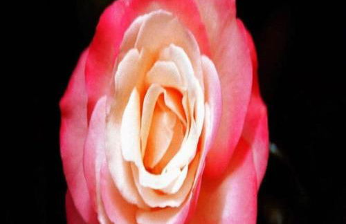 "Haus Burck" Modern retreat - Foto 6