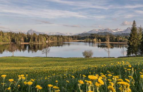 Bienenhaus #Bergblick im Sonnenhof - Foto 56