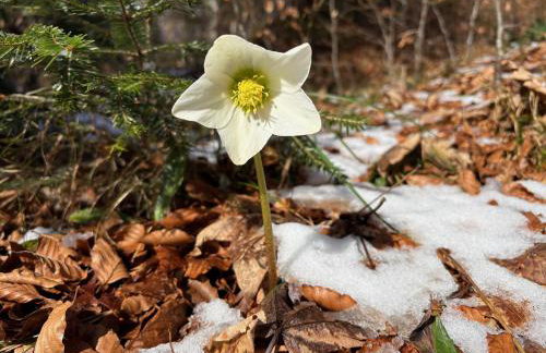 Ferienwohnung Klausgraben - Foto 10