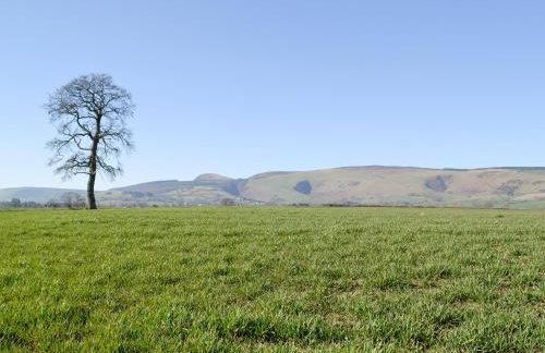 Upper Close - Uk10873 - Photo 24