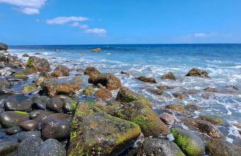 Fajã VinhaMar-Vinyard Cottage by the Sea - Foto 31