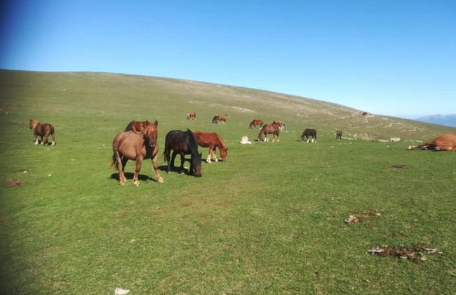 Spacious Countryside Escape - Foto 25