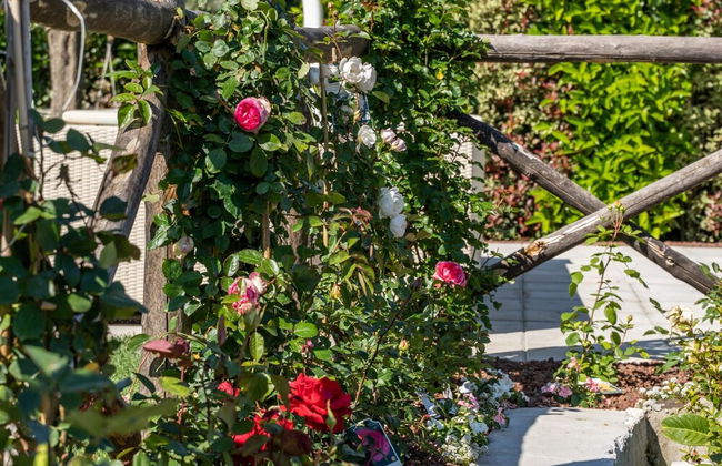 Dimora Delle Rose in Massa Lubrense - Foto 151