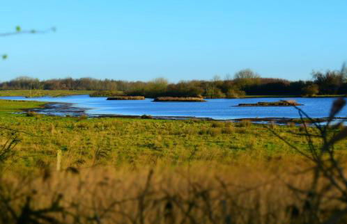 Paulsen Häuschen - Schloss Gelting - Foto 19