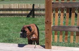 Owl Cabin - Photo 53