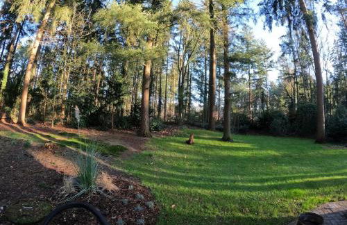 Schwedenhaus in Sandhatten - Foto 18