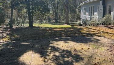 Aunt Beas House - Foto 3