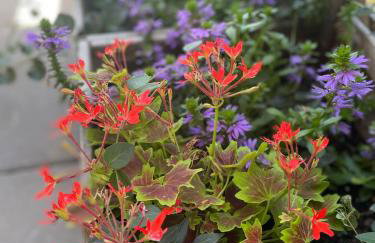 Siedlisko Lubie - Foto 22