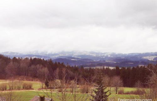 "Haus Daxberg" idyllisch gelegen im Bayerischen Wald - Ferienwohnung mit Zimmer Küche Bad - Foto 13