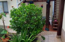 Apartamentos Ubatuba - Foto 57