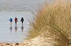 Gîte d'Anne et Ulysse - Foto 50