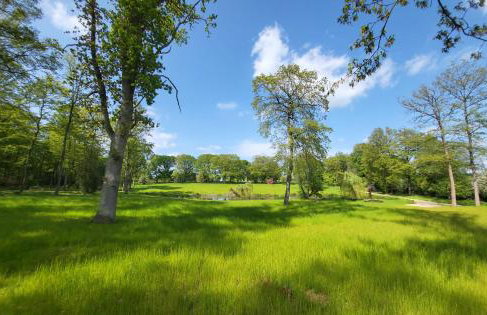 Private Apartment at Woodland Retreat - Foto 21