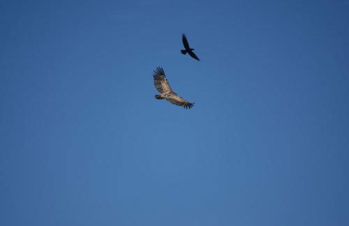 Casa del Riu - Foto 43