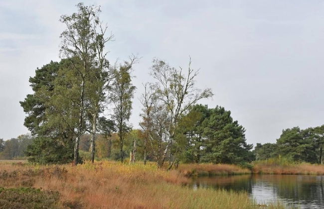 Holiday Home in Geesteren With Roof Terrace,garden Furniture - Photo 60