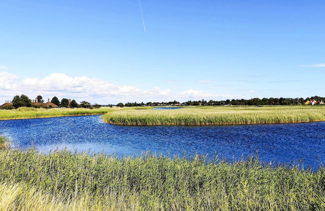 4 Person Holiday Home in Karrebaeksminde - Foto 42