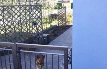 Casa del Tempo Elsa Tassullo Ospitar - Foto 15