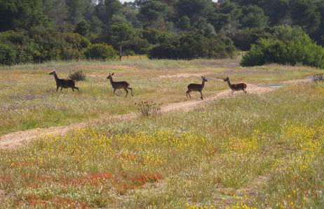 La Casa de Oti playa Mazagón vistas al mar - Foto 34