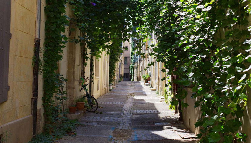 Escursione in Provenza