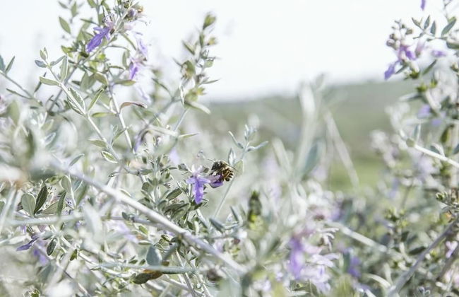 Villa Venti - Foto 33