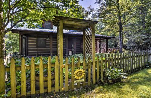 Black Mountain Cabin with Screened Porch and Views! - Foto 27