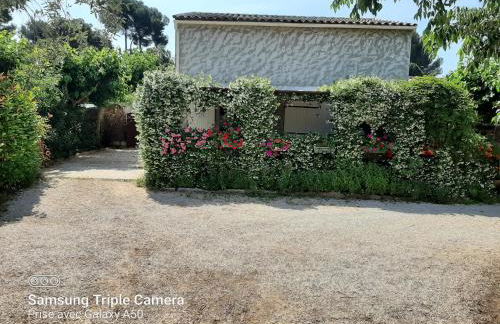 LES LAURIERS - Foto 7