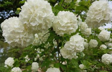 La petite maison dans le Quercy - Foto 19