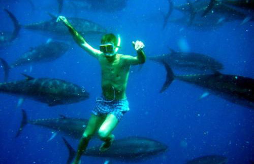 Villa voor 8 personen met zwembad - Foto 67