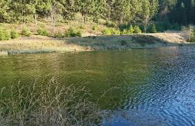 Große Ferienwohnung am Rennsteig - Foto 21