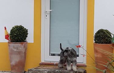 Quintal do Freixo - Country House - Photo 8