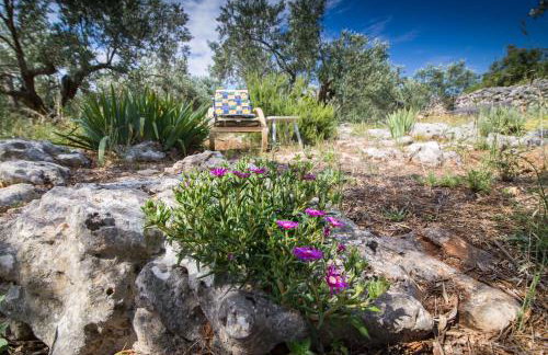 House Landjin - Foto 10