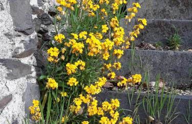 Ferienhaus Zenz - Ferienwohungen - Foto 46