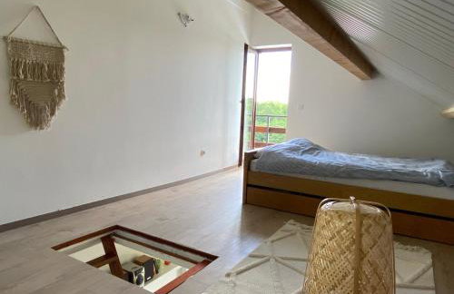 Mrežnica - Zelena oaza I - Foto 20